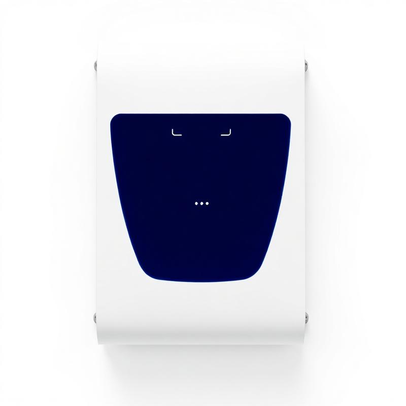 SRS Power 5 kWh lithium battery pack